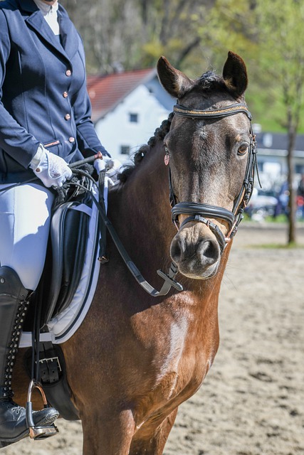 新星闪耀！摩根·罗杰斯破门获名宿称赞，或成三狮军团中场核心