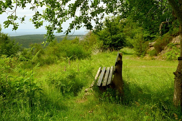 热议U22男足胜韩国：安东尼奥最会用拜合拉木；看韩媒会说啥