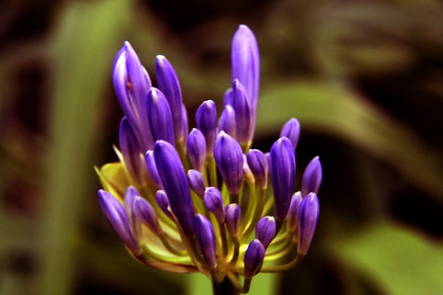 皇馬的機會 皇馬的機會