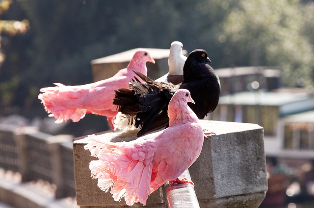 塔克在密尔 塔克在密尔