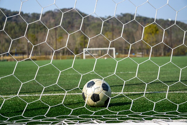 除了技战术 除了技战术