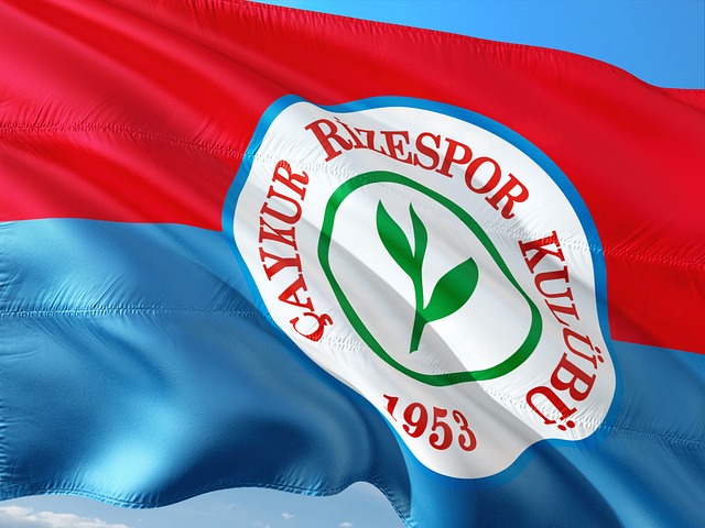 乔治为了不 乔治为了不