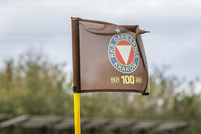 杜月徵可能 杜月徵可能