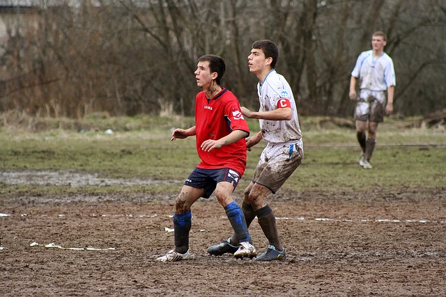 可以看出 可以看出