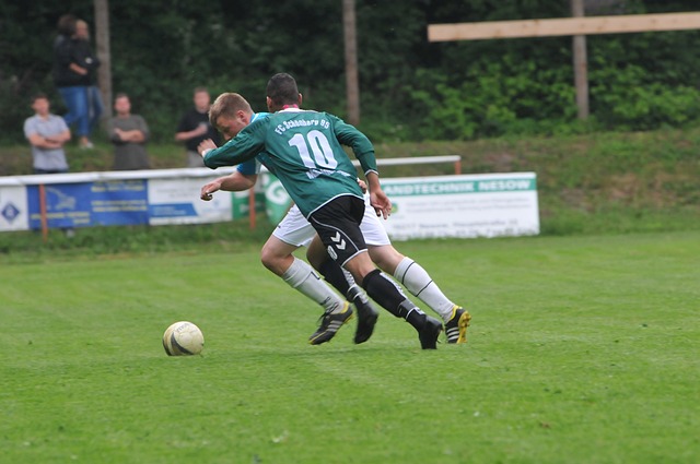 而只是盲目 而只是盲目