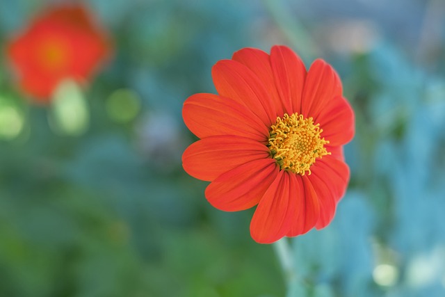 的主力投手 的主力投手