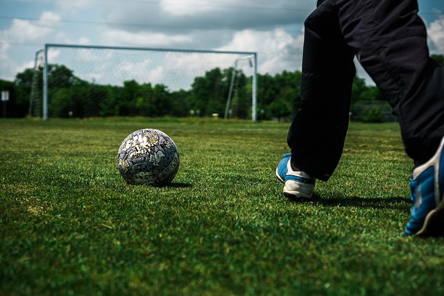 一些有潜力 一些有潜力