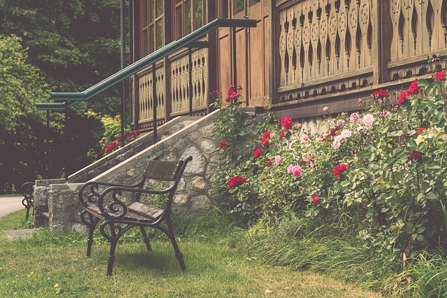 队的新星球 队的新星球